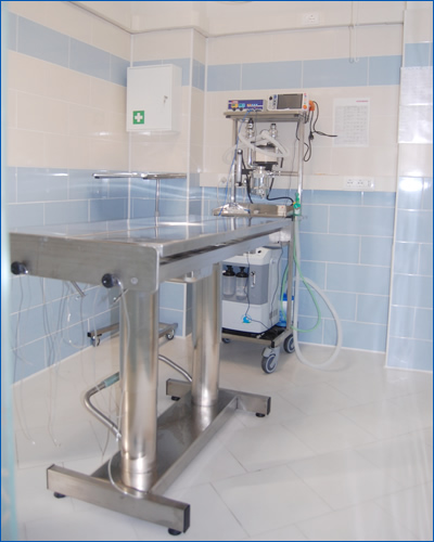 Ambulatorio Veterinario Sesto Calende - Sala chirurgica