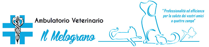 Ambulatorio Medico Veterinario Sesto Calende